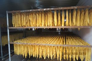 浙江腐竹豆制品生产